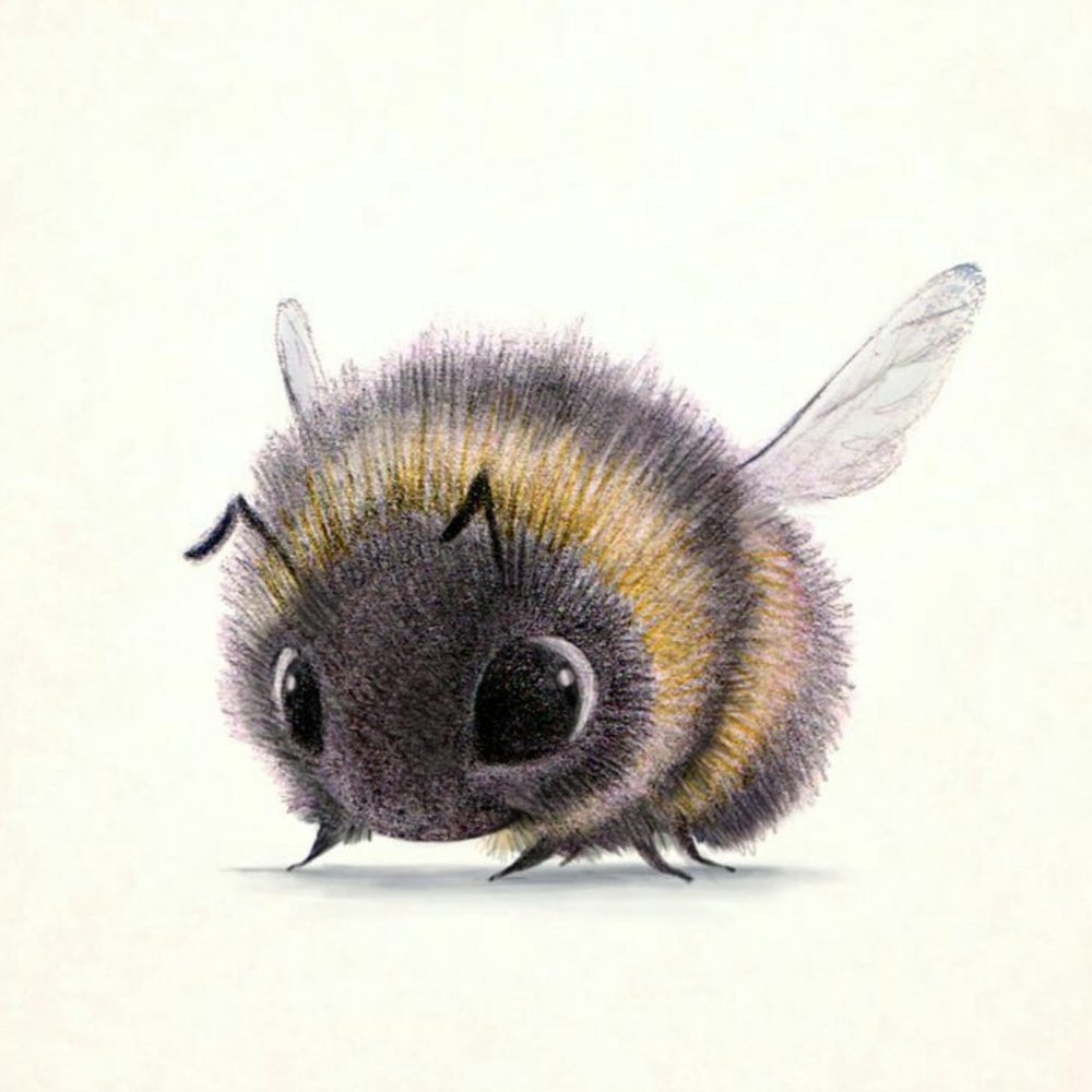 Meet your Posher, Laura Ann's Ambry